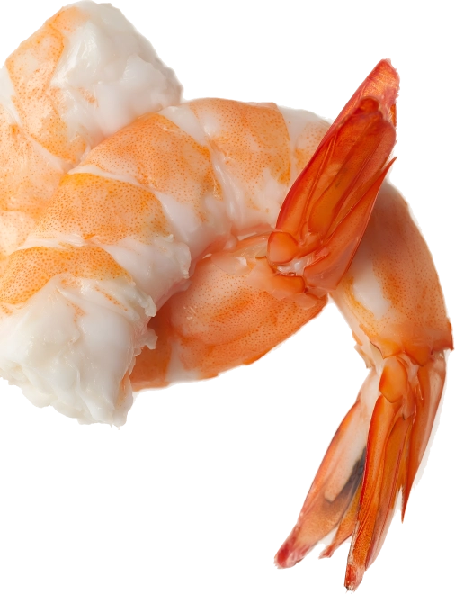 Le Comptoir De Landerneau Restaurant A Landerneau Bg